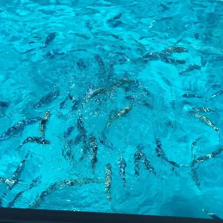 Appartamento Cala Gonone, Casa I Pini